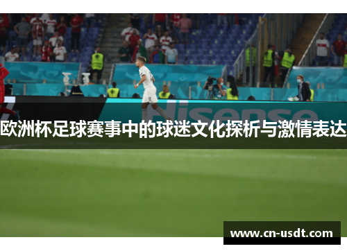 欧洲杯足球赛事中的球迷文化探析与激情表达